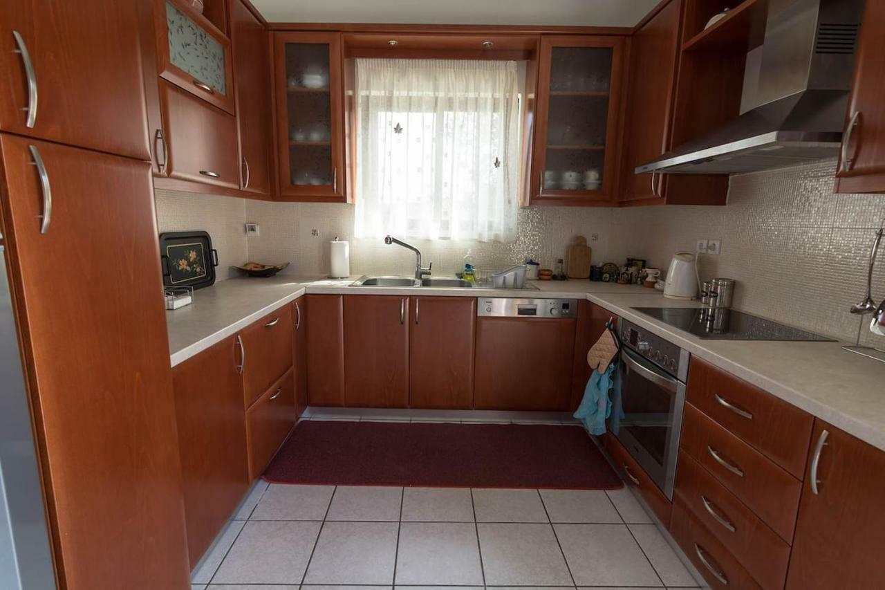 Big Family House In Mesochoria Village Exterior photo
